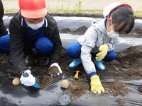 ５・６年生の取り組みの様子①