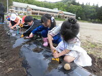 １・２年生の取り組みの様子①