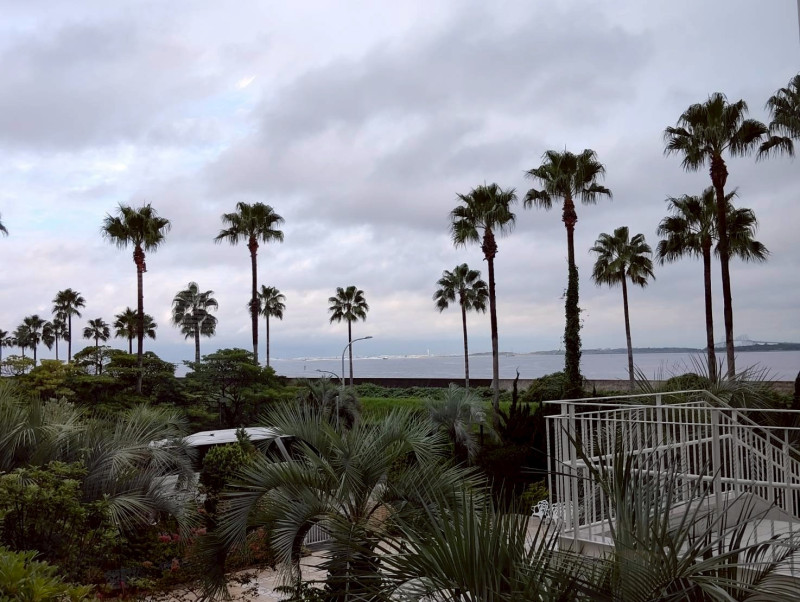 433fdedd85e6ddb933be298d46daa944