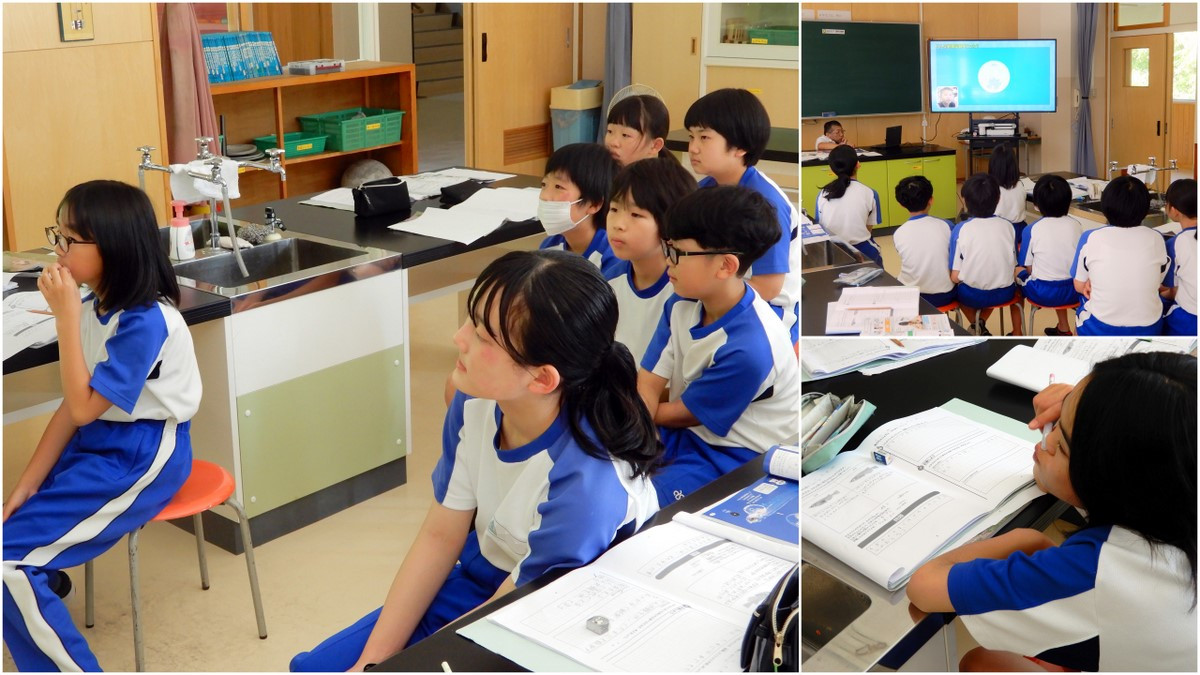 魚のたんじょう