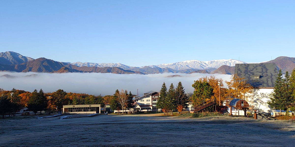 IMG_20251104_072252447