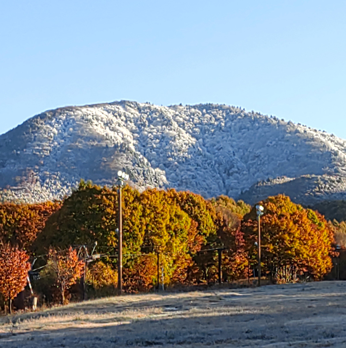 IMG_20251104_072328424