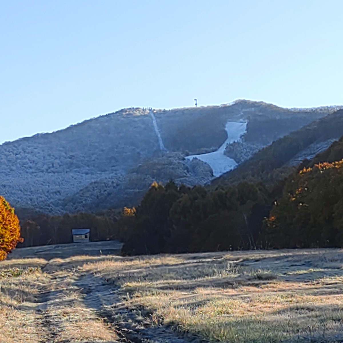 IMG_20251104_072425293